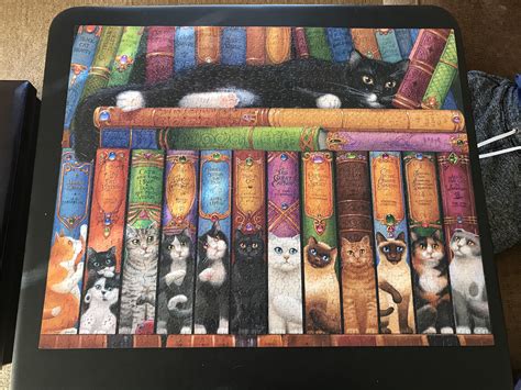Cat Bookshelf By Randal Spangler Jigsaw Puzzle 1000 Rjigsawpuzzles