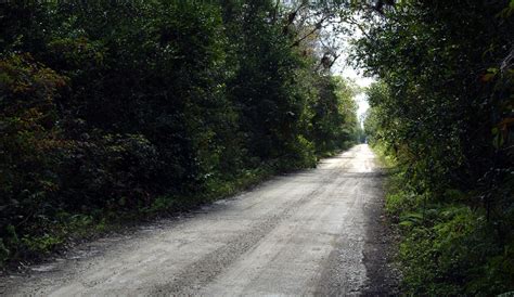 Loop Road Miles Of History Big Cypress National Preserve Us