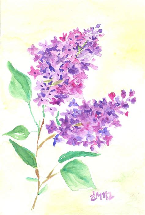 Loose Watercolor Paintings Lilac Painting Painting And Drawing Flower