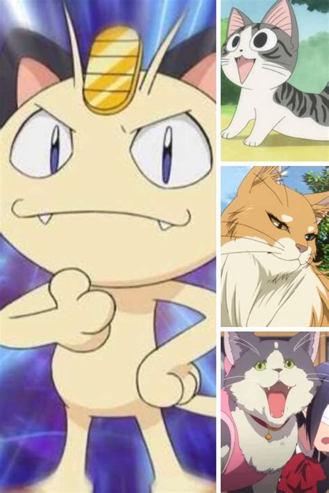 Cutest Anime Cats Characters You Will Adore In 2020 Trendy Cats