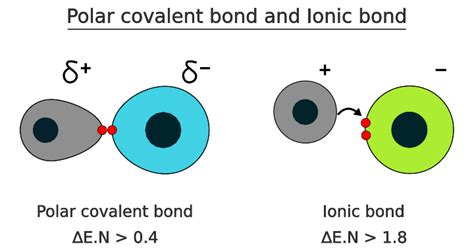 Polar Covalent Bond Structure