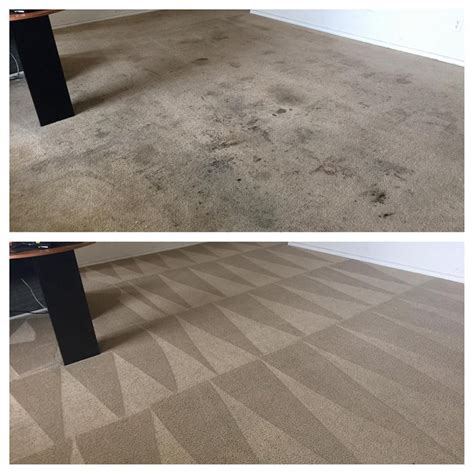 We did not find results for: Carpet Cleaning Tips Archives | Discover Carpet Care, San ...