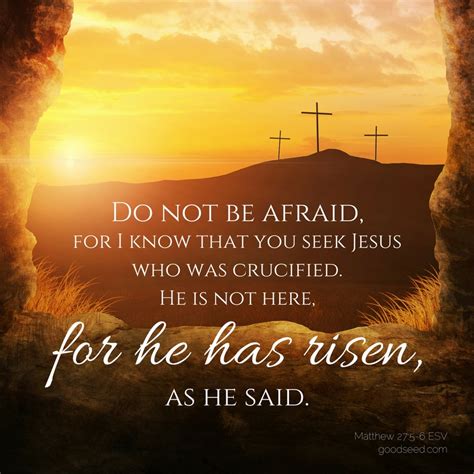 He Has Risen The Goodseed Blog