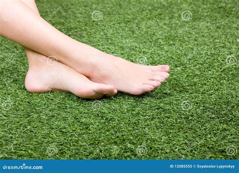 Beautiful Slim Female Feet On Green Grass Stock Image Image Of Fine