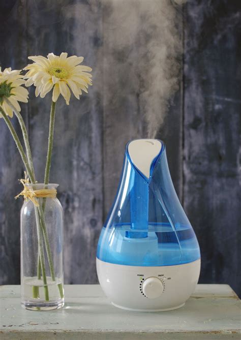 Effectively moisturizing the air, they help save your body from the effects of dry rooms and the harsh realities of winter. My New Humidifier | Food Prepper