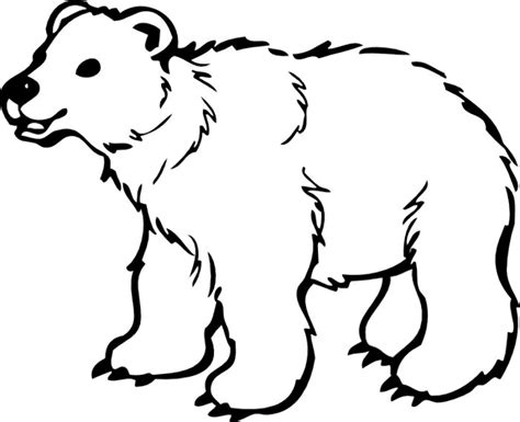 Bear Whites Clip Art Library