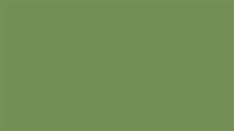 Piquant Green Similar Color 748f55 Information Hsl Rgb Pantone