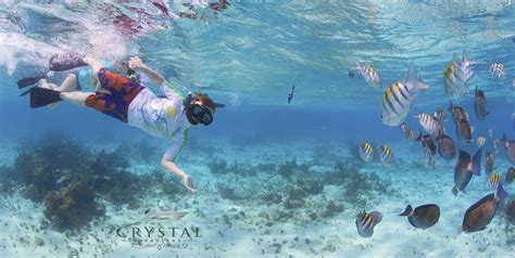 Boat Tours And Snorkeling Cayman Islands With Crystal Charters