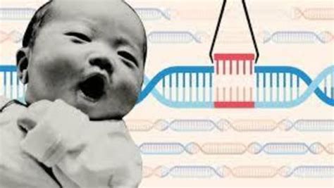 Chinese Scientist Who Gene Edited Babies Has Gone Missing Newsbytes