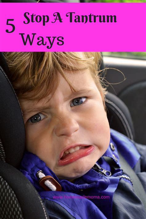 How To Deal With Toddler Tantrums Tantrums Toddler