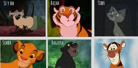 The popularity of cat names differs by nation, even nations with the same language. Disney Names For Cats- OVER 30 - The Most FAMOUS Cats!
