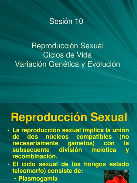 reproducción sexual y ciclos de vida en hongos aspectos genéticos y evolutivos pdf hongo