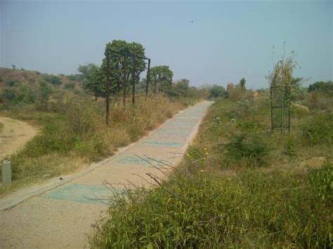 Fading Away Into The Unknown Picture Of Aravalli Biodiversity Park