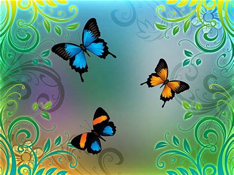 Natures Beauties Three Beautiful Butterflies Sunshine Days Beauty Of