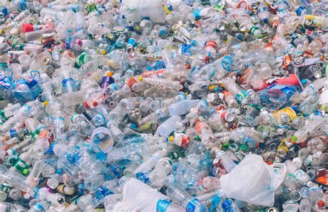 This Plastic Eating Bacteria Might Literally Help Save The Planet