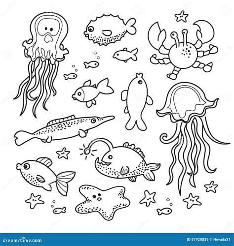Sea Creatures Doodle Collection Stock Illustration Illustration Of