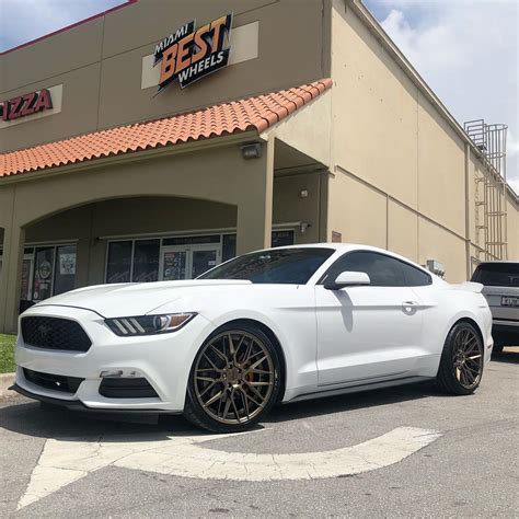 Ford Mustang Gt S550 White With Bronze Niche Gamma M191 Wheel Wheel Front