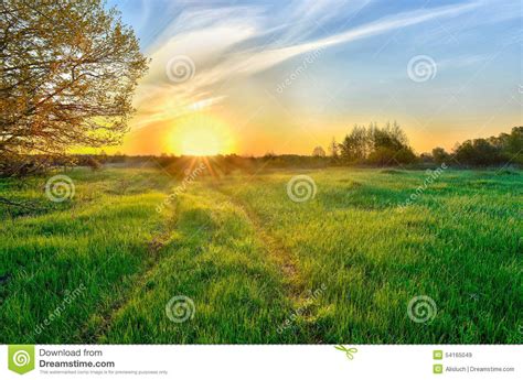 Landscape With The Sunrise Over The Meadow Stock Image Image Of