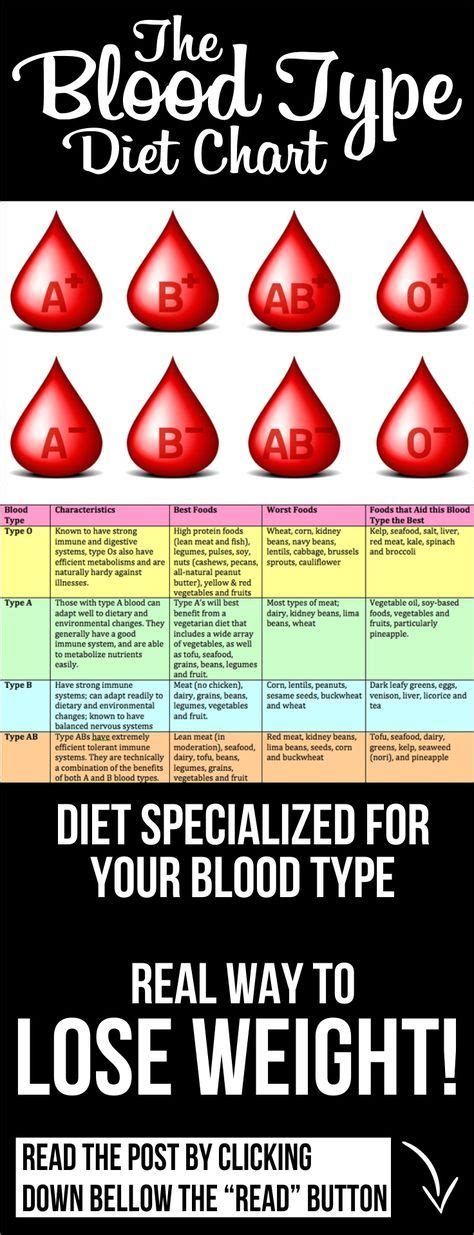 They also tend to be fairly quiet and shy, like to listen and follow along with. blood type diet blood type diet o positive blood type diet ...