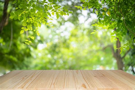 Empty Wooden Table On Green Nature Background For Product Display Stock