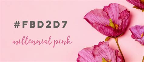What Every Designer Needs To Know About Millennial Pink Laptrinhx