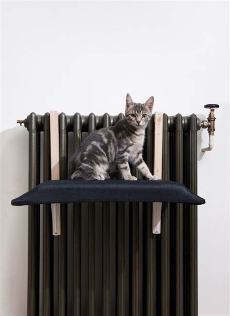 Diy Radiator Cat Bed How To Create A Comfy Perch Kitty Will Love