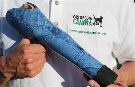 Protesis Canina De Ortopediacanina Com Protesis Protesisperro