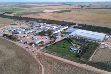 The Pye Group Opens Largest Potato Packing Facility Of Its Kind In The