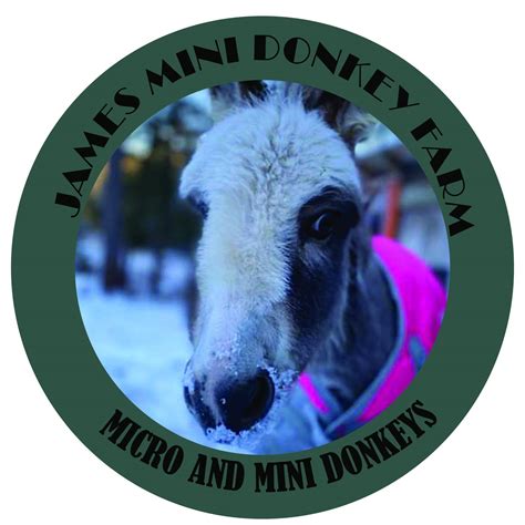 James Farm Miniature Donkeys Denver Co