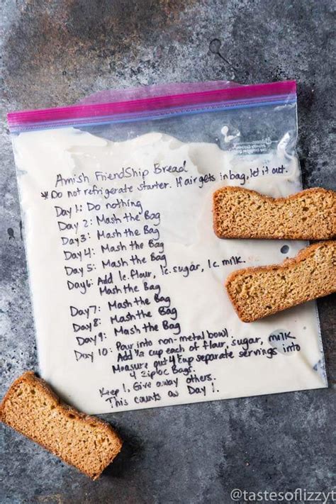 amish friendship bread starter recipe {hints for storing and using this sweet sourdough}