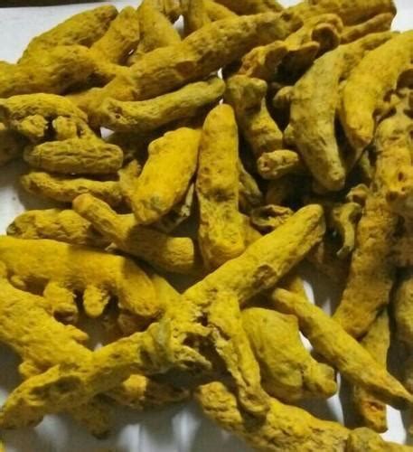 Yellow Dried Curcuma Turmeric Finger At Best Price In Phulabani