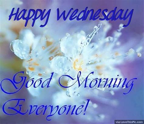 Happy Wednesday Good Morning Everyone Pictures Photos And Images For