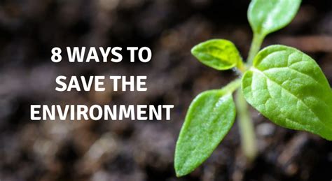 Save The Planet 8 Ways To Reduce Environmental Pollution