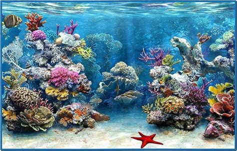 Best 3d Aquarium Screensavers Download Free