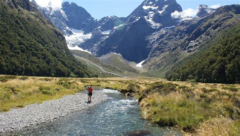 Fiordland National Park Travelessence