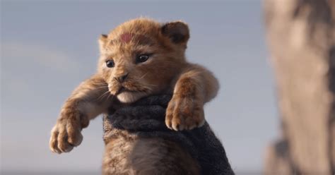 Disney Dévoile La Première Bande Annonce Du Roi Lion