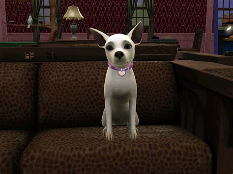 Dog Sims 3 Pets By Angel62200 On Deviantart