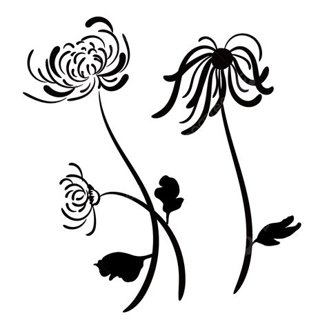 Gambar Siluet Bunga Bunga Bunga Bayangan Hitam Hitam Png Dan Vektor