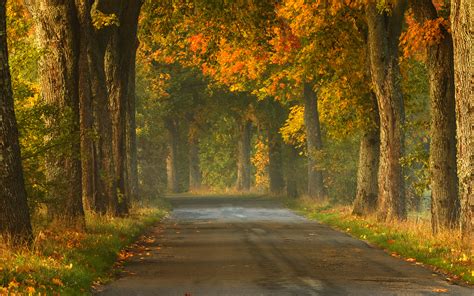 Ignite Your Wanderlust With 100 Images Of The Open Road The