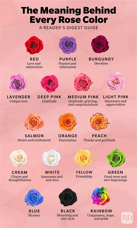 Rose Color Meanings Flower Meanings Chart Plant Meanings Rose