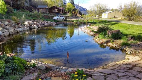 Building Large Pond And Waterfall Dream Landscaping Durango Colorado