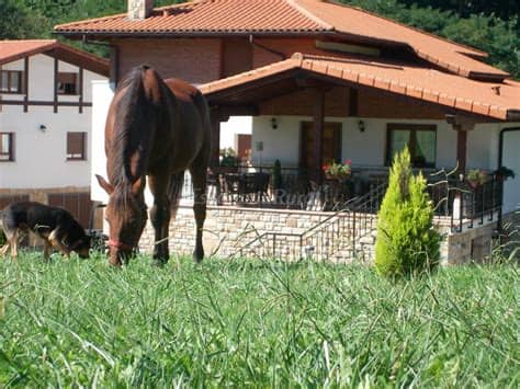 Casas rurales con animales donde los niños podrán disfrutar de la naturaleza y de los animales. Fotos de Casa Rural Arriortua - Casa rural en Derio (Vizcaya)