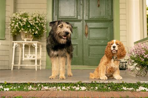Disney Unveils New Official Trailer For Live Action Lady And The Tramp