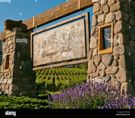 Entrance Sign To Quails Gate Winery In Canada Stock Photo Alamy
