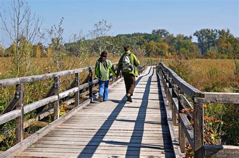 Sie ist nationalpark und wichtigstes naherholungsgebiet für viele wiener*innen. Napoleon-Rundwanderweg durch die Lobau - vienna-trips.at ...