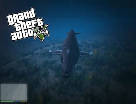 Been A Whale In Grand Theft Auto 5 Gta5 Mods Youtube