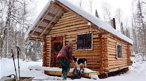 Wilderness Off Grid Log Cabin Snow Preparing For Winter Living Moose