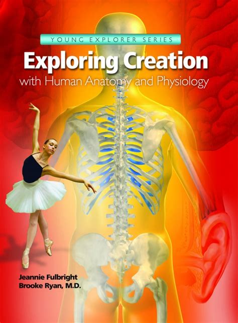 Apologia Exploring Creation With Human Anatomy And Physiology Hip