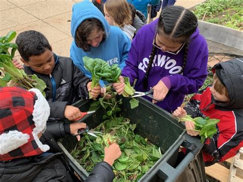 School Sensory Garden Ideas To Bring Learning Alive