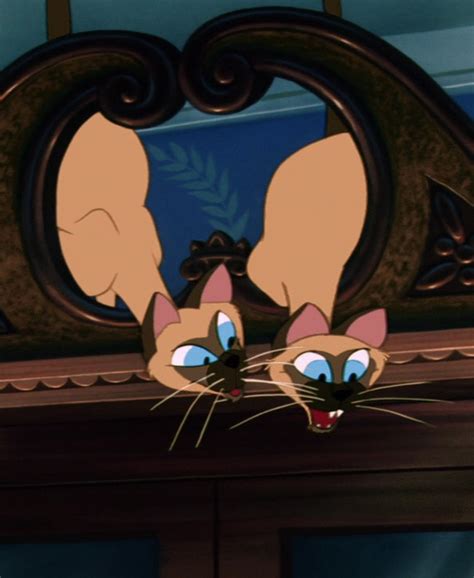 16 Siamese Cat Cartoon Lady And The Tramp Furry Kittens